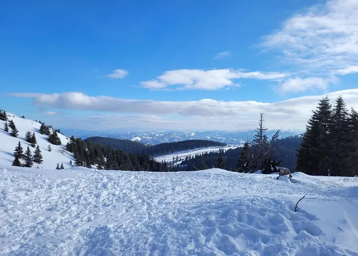 Apartman Kopaonik Zoned2